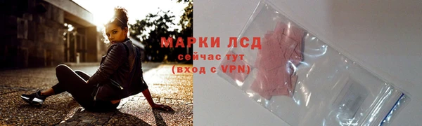 гидра Аркадак