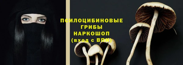 Альфа ПВП Арсеньев