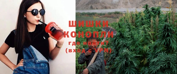 гидра Аркадак