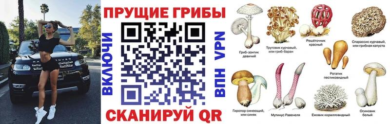 Галлюциногенные грибы MAGIC MUSHROOMS  Ленинск 